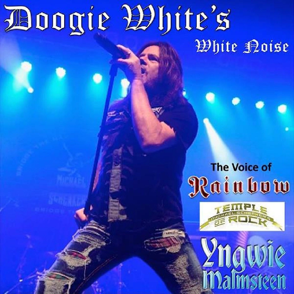 o600x600-Doogie_White_band__Rainbow__2024121710057.webp